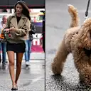 Kika% 20and% 20simba% 20 samedi% 20Fit.png